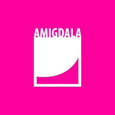 Amigdala è un collettivo artistico fondato nel 2005 a Modena, città nella quale sviluppa ogni anno progetti di festival, performance e processi di ricerca territoriale. Oggi è costituita come Ente del Terzo Settore e ha sede legale a Modena, in via Nicolò Biondo 86.